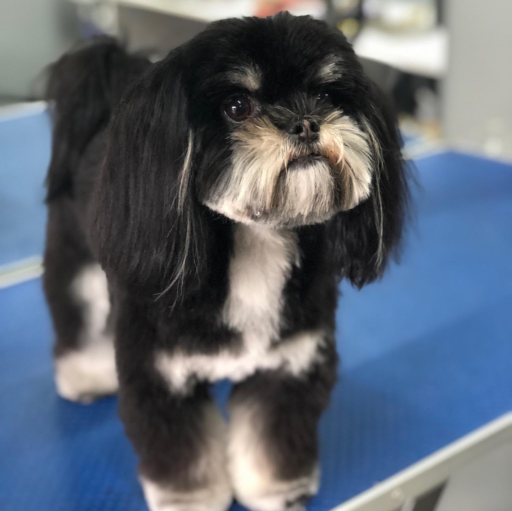 Big Paws Little Paws- Dog Grooming Salon | 2 Leatherwood Dr, Hoppers Crossing VIC 3029, Australia | Phone: 0423 822 577