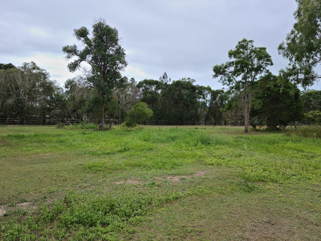 Bush to Bay Weed Control | Burrum River Rd, Torbanlea QLD 4662, Australia | Phone: 0409 267 001