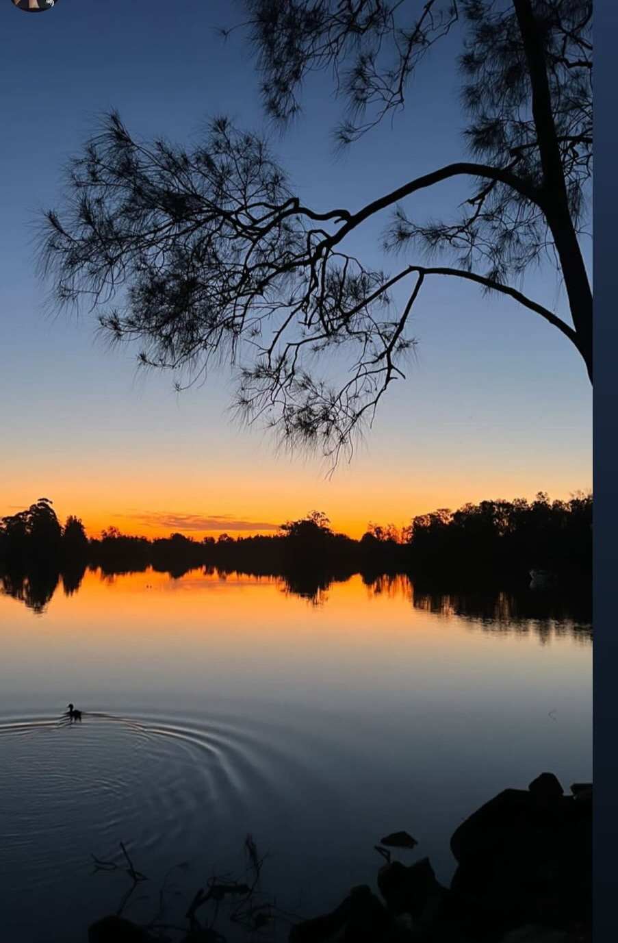 Cafe Brass Bell - On The River | Discovery Parks, 99 Aquatic Rd, Darawank NSW 2428, Australia | Phone: 0468 330 014