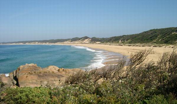 Cape Conran Coastal Park | rv park | Marlo-Conran Rd, Cape Conran VIC 3888, Australia | 0351548438 OR +61 3 5154 8438