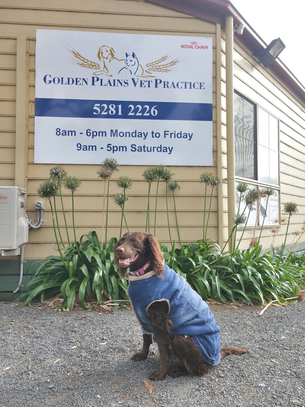 Golden Plains Vet Practice | veterinary care | 2 Bruce St, Bannockburn VIC 3331, Australia | 0352812226 OR +61 3 5281 2226