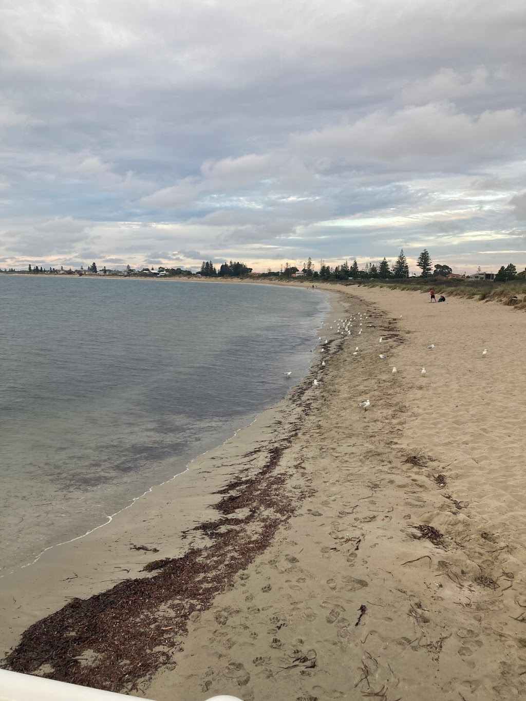 Shoalwater Foreshore - Mersey Point | park | Safety Bay Rd, Shoalwater WA 6169, Australia | 0895280333 OR +61 8 9528 0333
