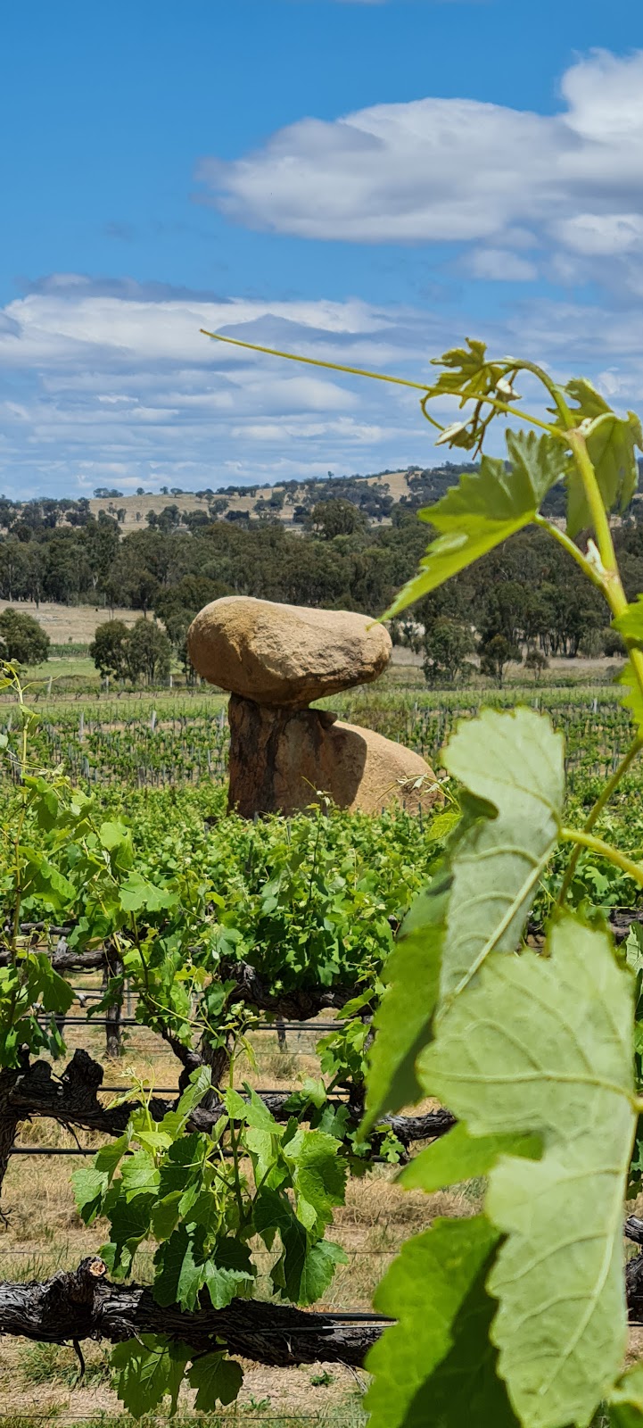 Balancing Heart Vineyard | 221 Old Wallangarra Rd, Wyberba QLD 4382, Australia | Phone: 1300 000 221