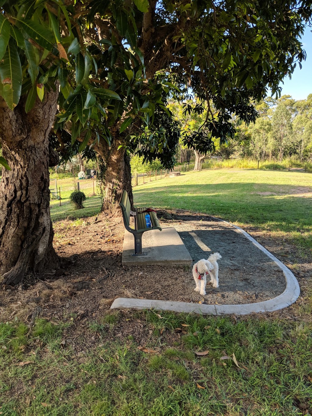 Bunya Dog Park | park | 371 Bunya Rd, Bunya QLD 4055, Australia
