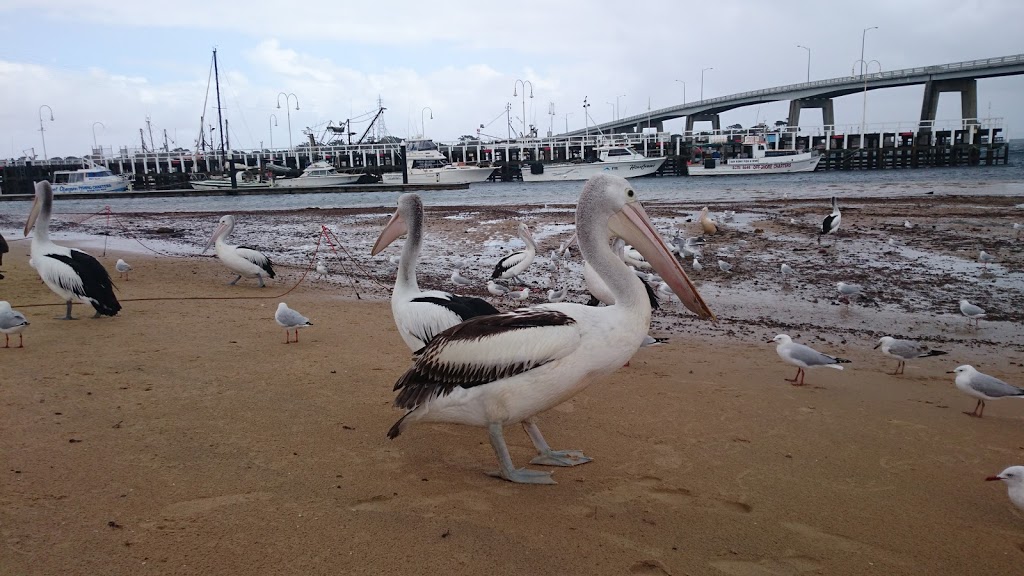 San Remo Park | park | Marine Parade, San Remo VIC 3925, Australia