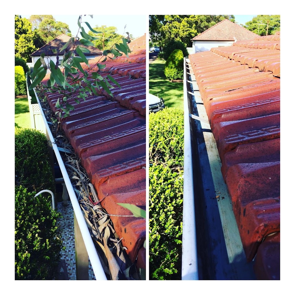 ProWash Gutter & Roof Cleaning PTY LTD |  | 80 Wilson Parade, Heathcote NSW 2233, Australia | 0450965706 OR +61 450 965 706