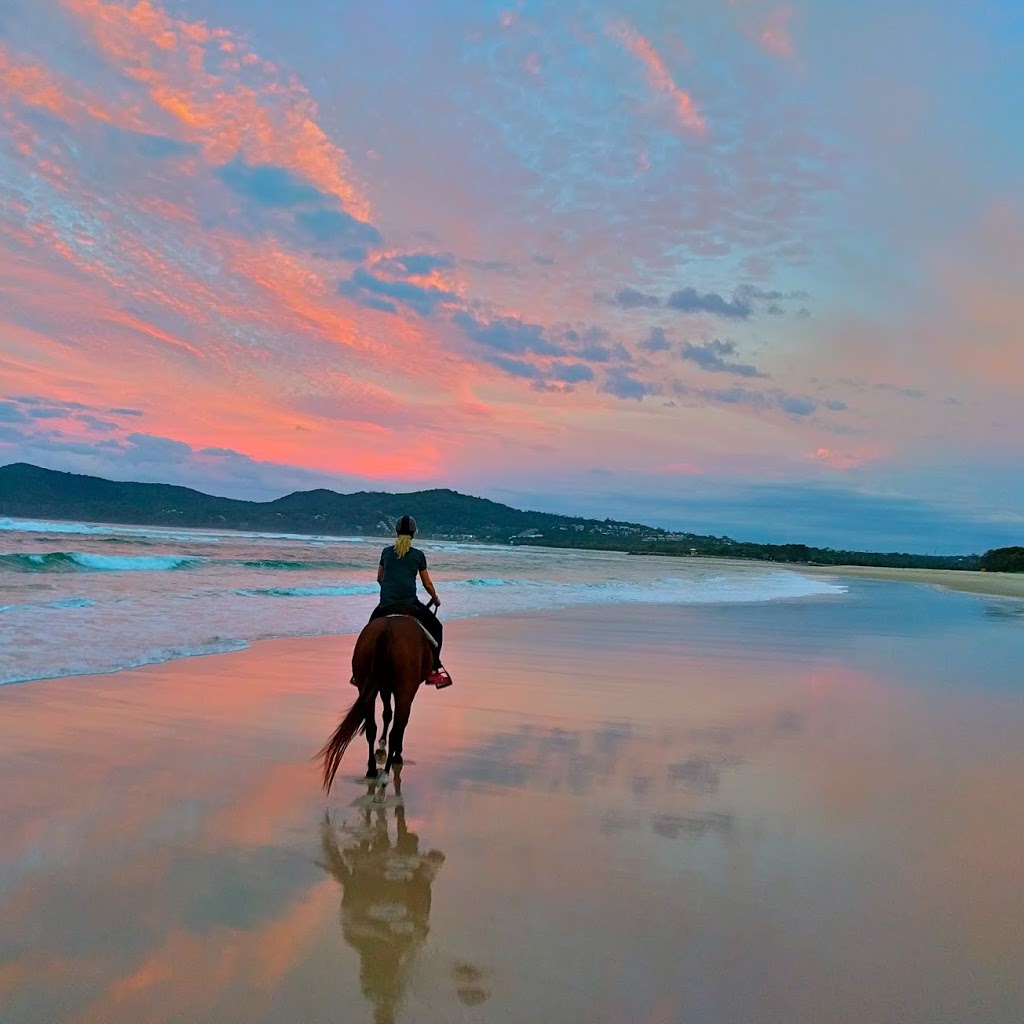 Noosa Horses | Esplanade, Noosa North Shore QLD 4565, Australia | Phone: 0437 916 928
