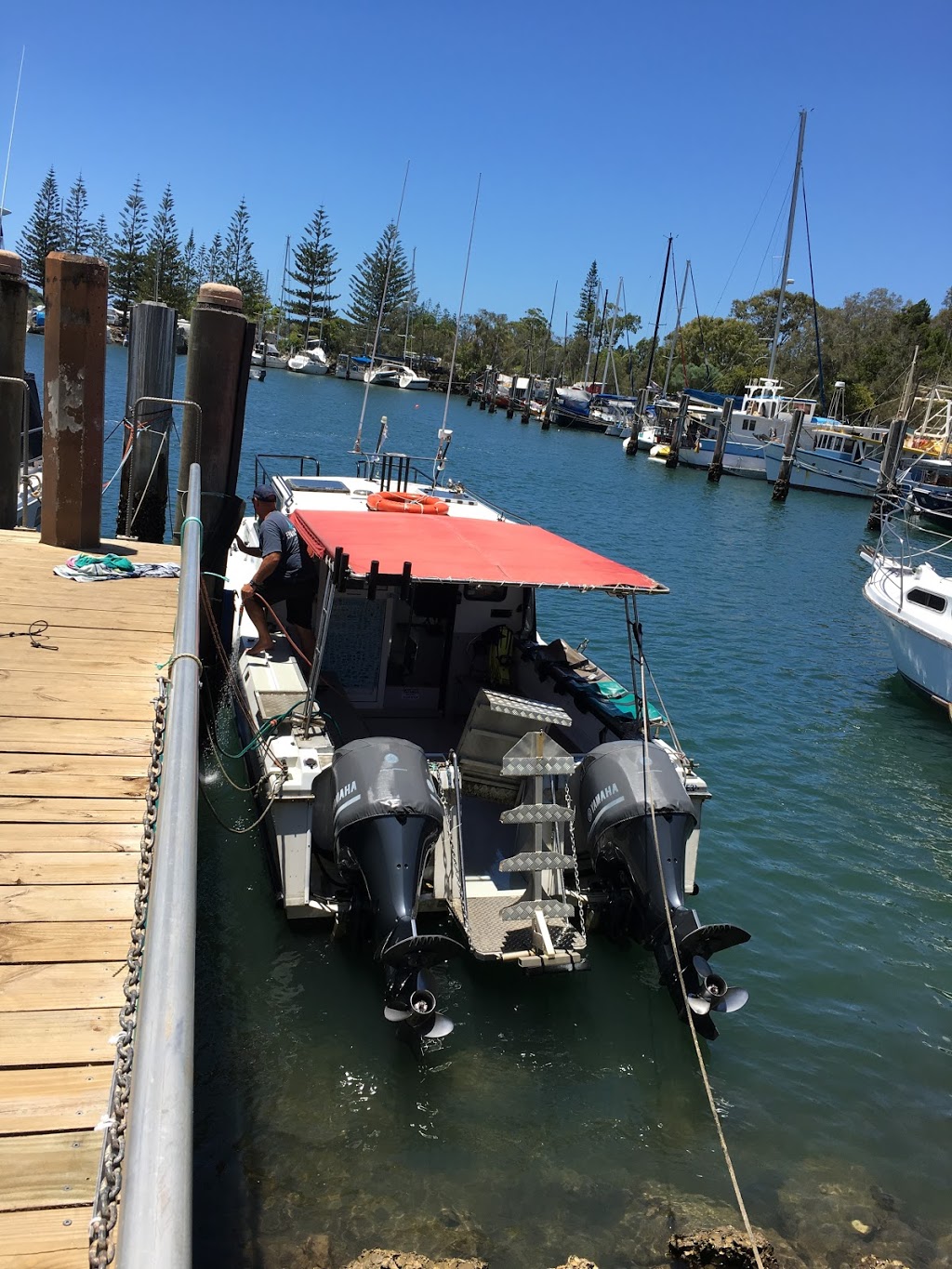 Blue Bay Divers | travel agency | Brunswick Heads Boat Harbour, Old Pacific Highway, Brunswick Heads NSW 2483, Australia | 1800858155 OR +61 1800 858 155