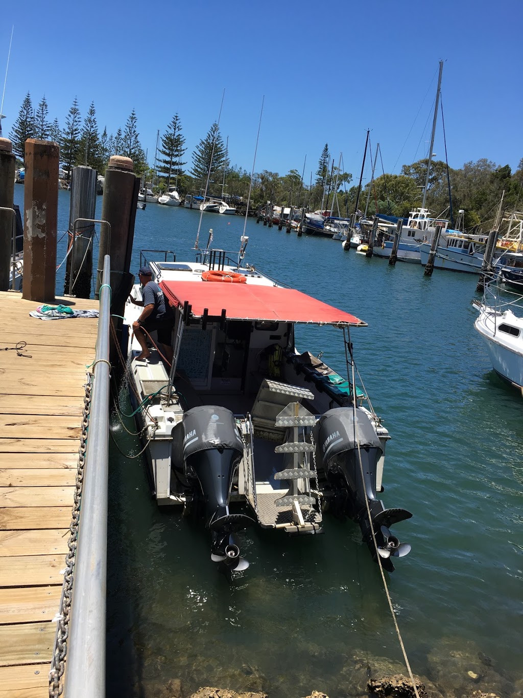 Blue Bay Divers | Brunswick Heads Boat Harbour, Old Pacific Highway, Brunswick Heads NSW 2483, Australia | Phone: 1800 858 155