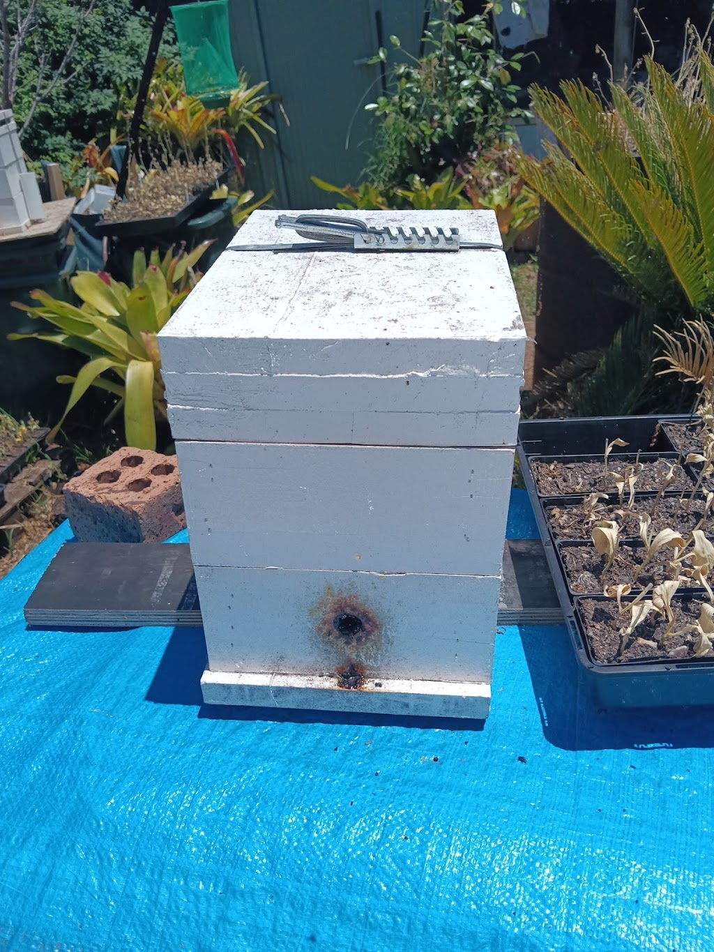 Beekeeping Honey & Native | 5 Fitzgibbon Ln, Rosemeadow NSW 2560, Australia | Phone: 1300 842 520