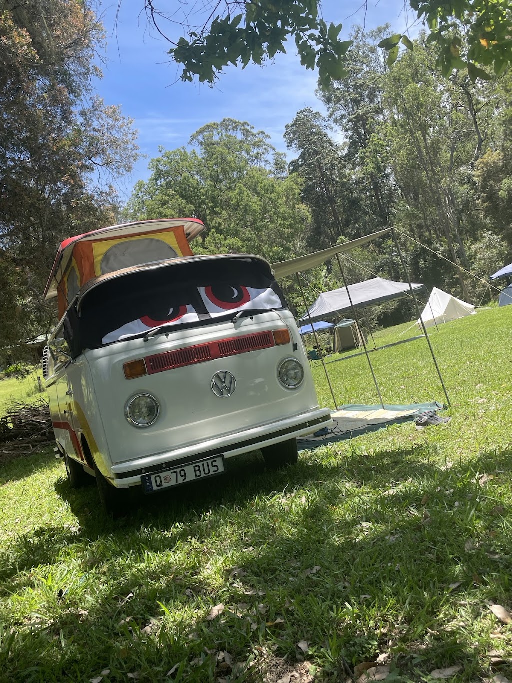 GingerNut Farm | 109 Atkins Rd, Cawongla NSW 2474, Australia | Phone: 0435 007 555