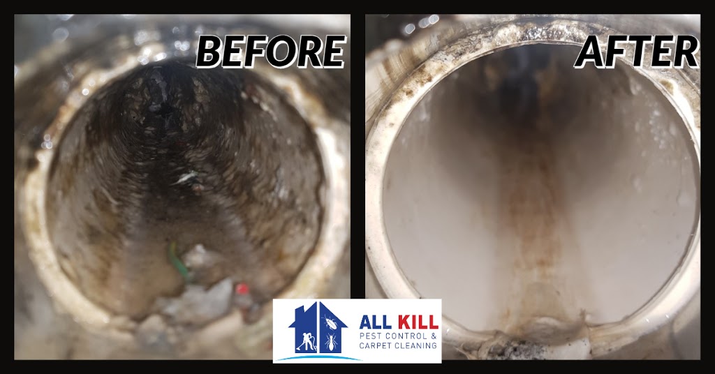 All Kill Pest control & Carpet cleaning | laundry | 24 Jonlyn Pl, Kuraby QLD 4112, Australia | 0450233588 OR +61 450 233 588