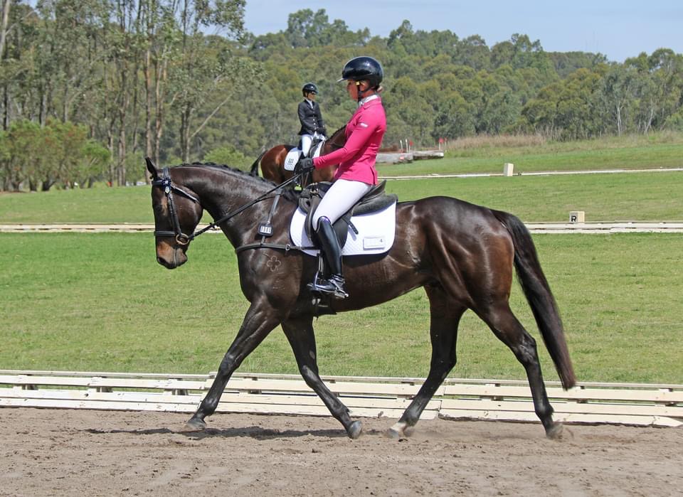 Equintegrity Physiotherapy Middle Dural | 4 OHaras Creek Rd, Middle Dural NSW 2158, Australia | Phone: 0408 203 094