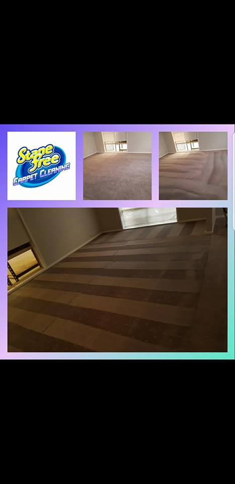 Stanefree Solutions - More Than Just Cleaning | 36 Boronia Ave, Cranbourne VIC 3977, Australia | Phone: 0467 879 381
