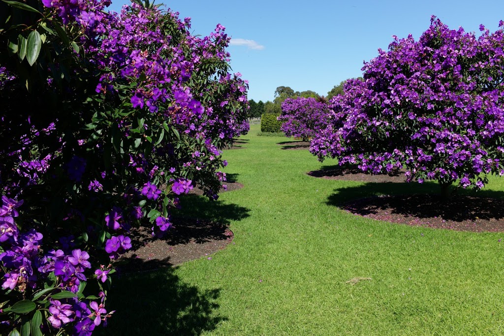 Column Garden | park | Centennial Park NSW 2021, Australia