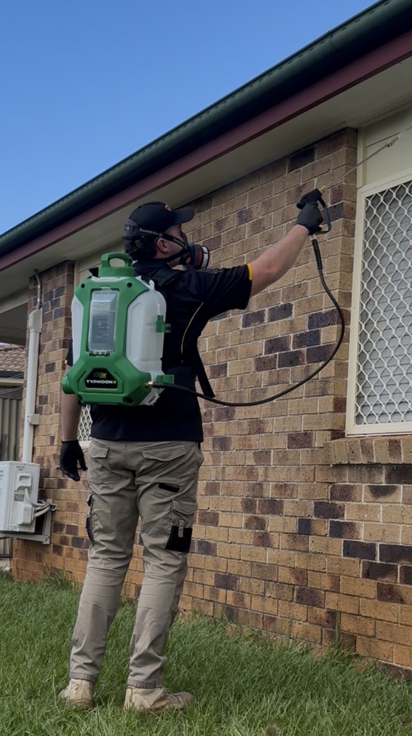 Rampart Pest Management | 65 Rifle Range Rd, Narangba QLD 4504, Australia | Phone: 0428 563 886