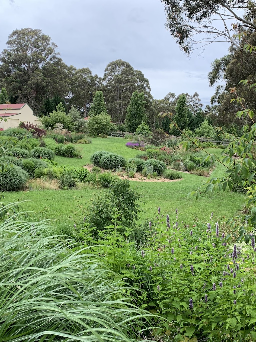 Wild Meadows Garden | 243A Coxs River Rd, Little Hartley NSW 2790, Australia | Phone: 0439 070 670