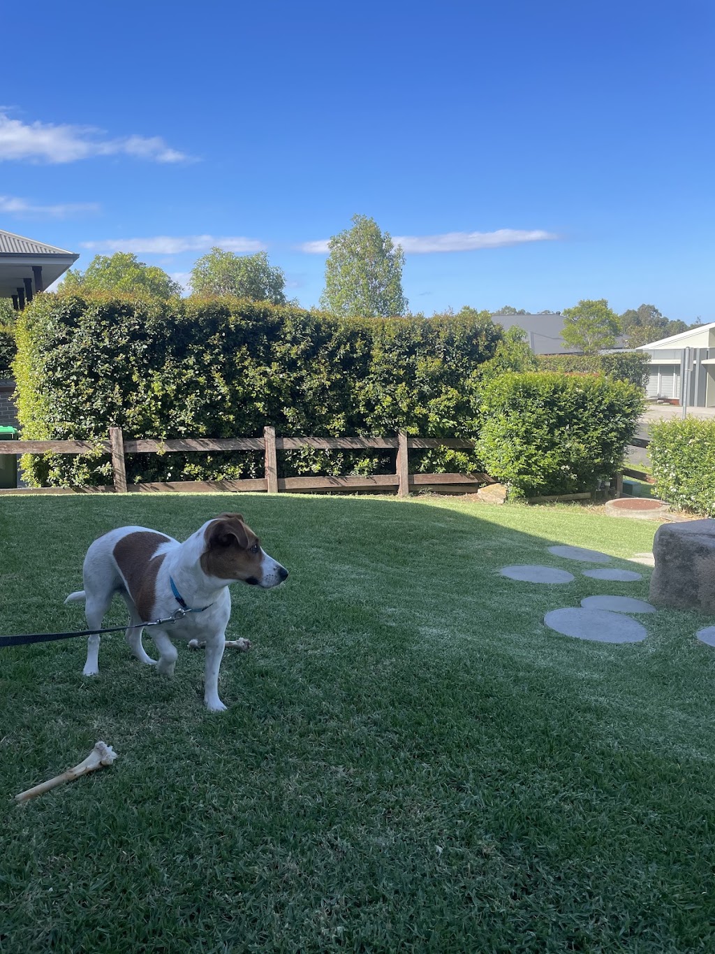 JMP Landscapes | 14 Berrima Rd, Wilton NSW 2571, Australia | Phone: 0401 885 349