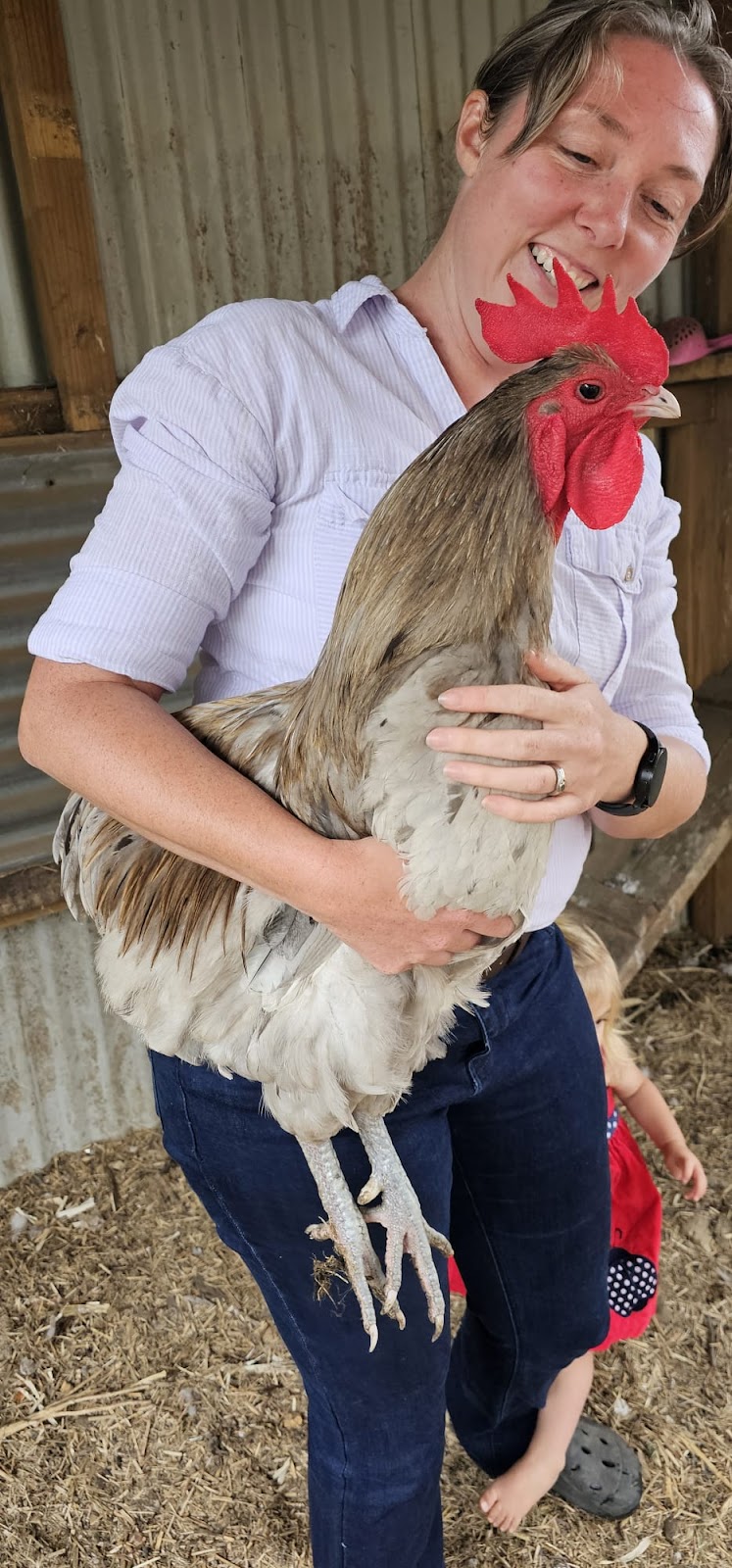 Lael Poultry, Produce and Plants | 1873 Brayton Rd, Big Hill NSW 2579, Australia | Phone: 0407 274 785