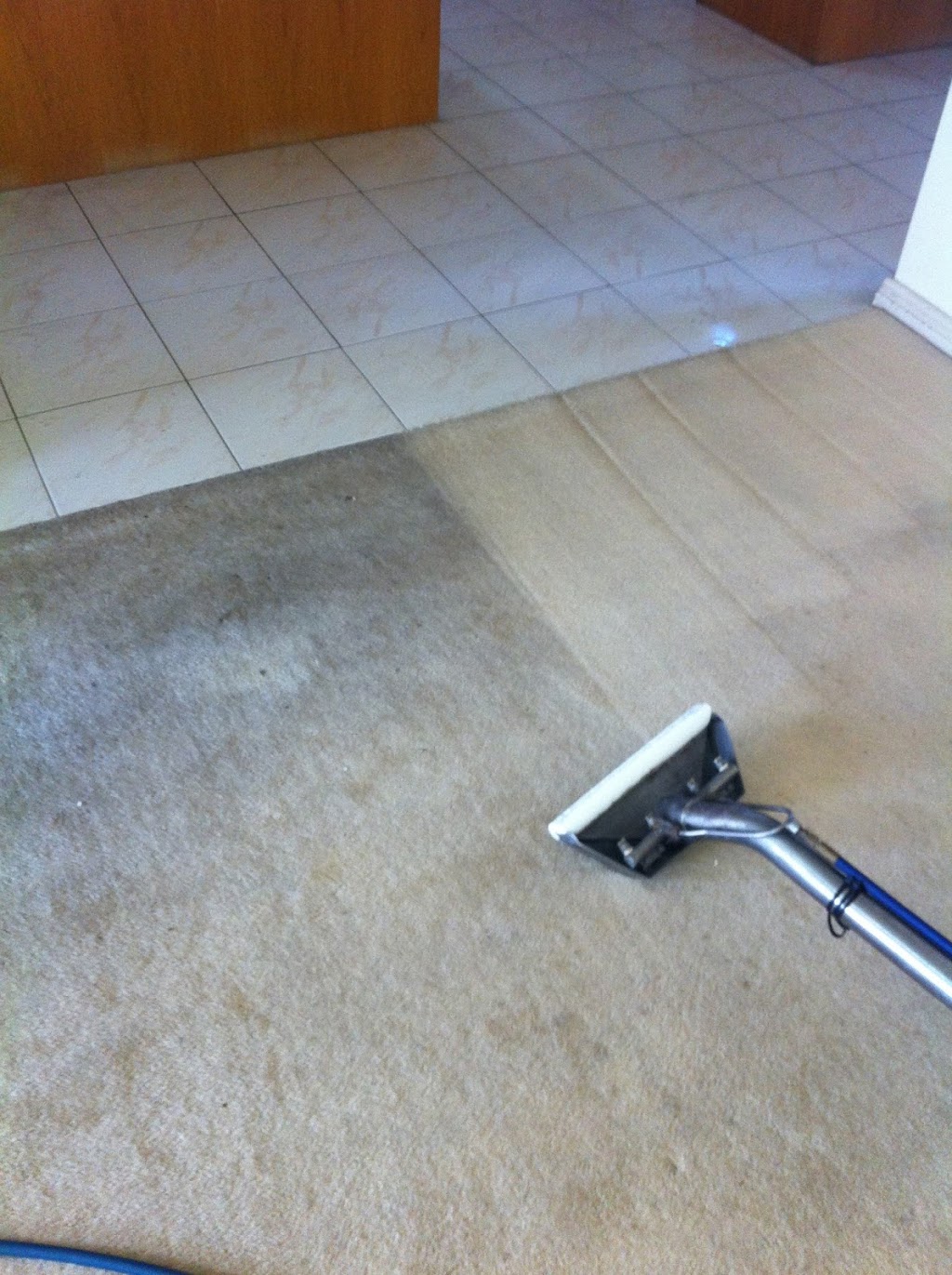 Activ Carpet Care / Duct Cleaning | 391 Waverley Rd, Mount Waverley VIC 3149, Australia | Phone: 0418 382 505