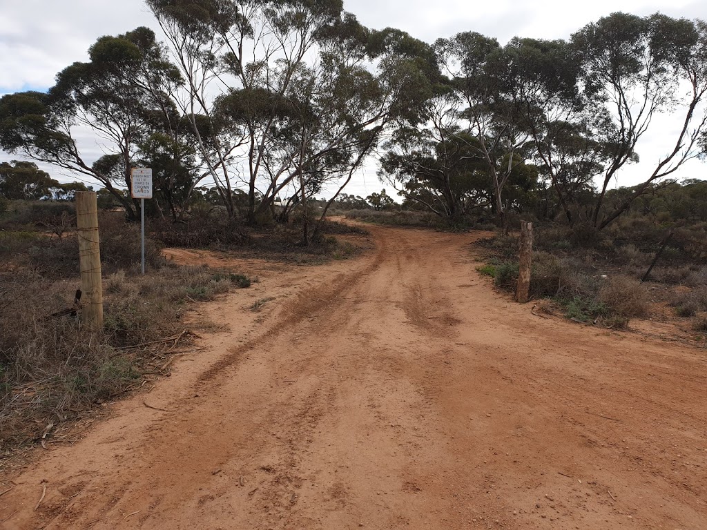 Mildura West walking track | park | 22 Living Dr, Merbein West VIC 3505, Australia