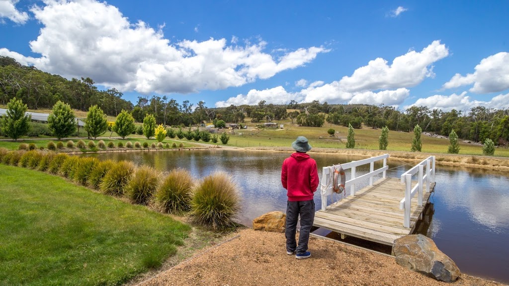 Oasis Berry Farms |  | 22 Adams Ln, Steels Creek VIC 3775, Australia | 0419586506 OR +61 419 586 506