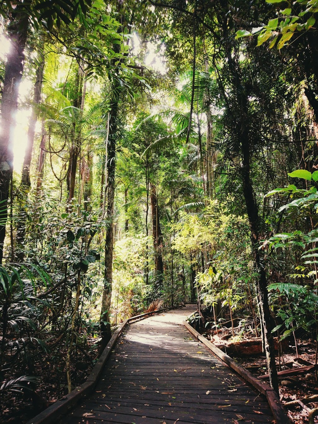 Victoria Park Nature Reserve | Dalwood NSW 2477, Australia