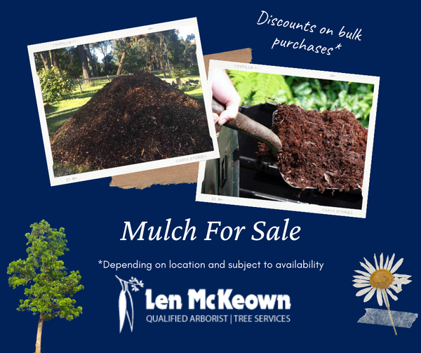 Len McKeown Tree Removal & Arborist |  | 8 Wright St, Mount Evelyn VIC 3796, Australia | 1300135982 OR +61 1300 135 982