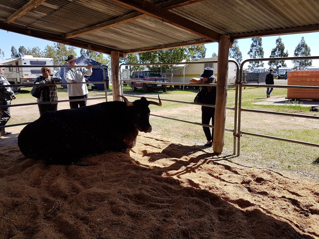 Australian Camp Oven Festival |  | Millmerran Cecil Plains Rd, Millmerran QLD 4357, Australia | 0429727503 OR +61 429 727 503