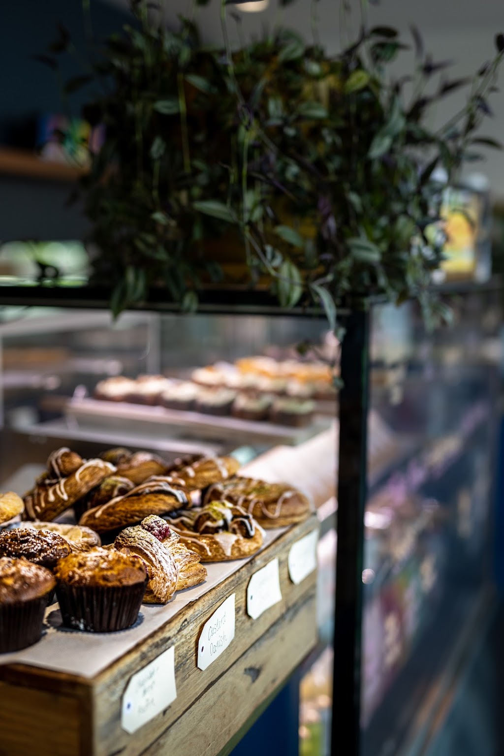 The Base | 105 Prince St, Orange NSW 2800, Australia | Phone: (02) 6369 0202