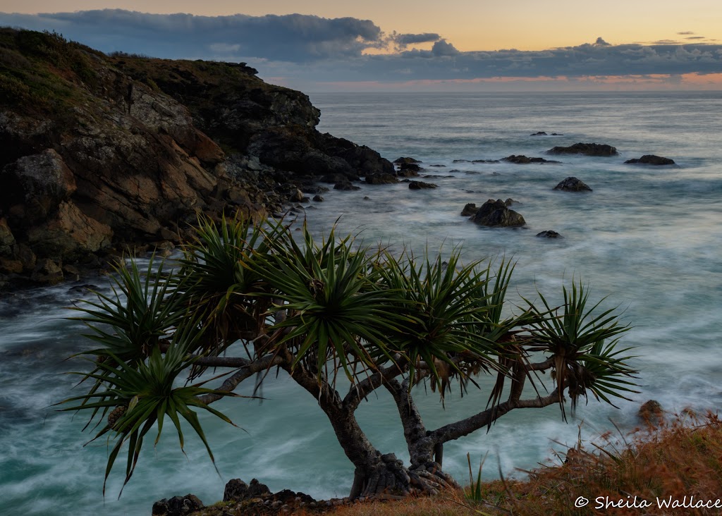 Sea Acres National Park | Port Macquarie NSW 2444, Australia