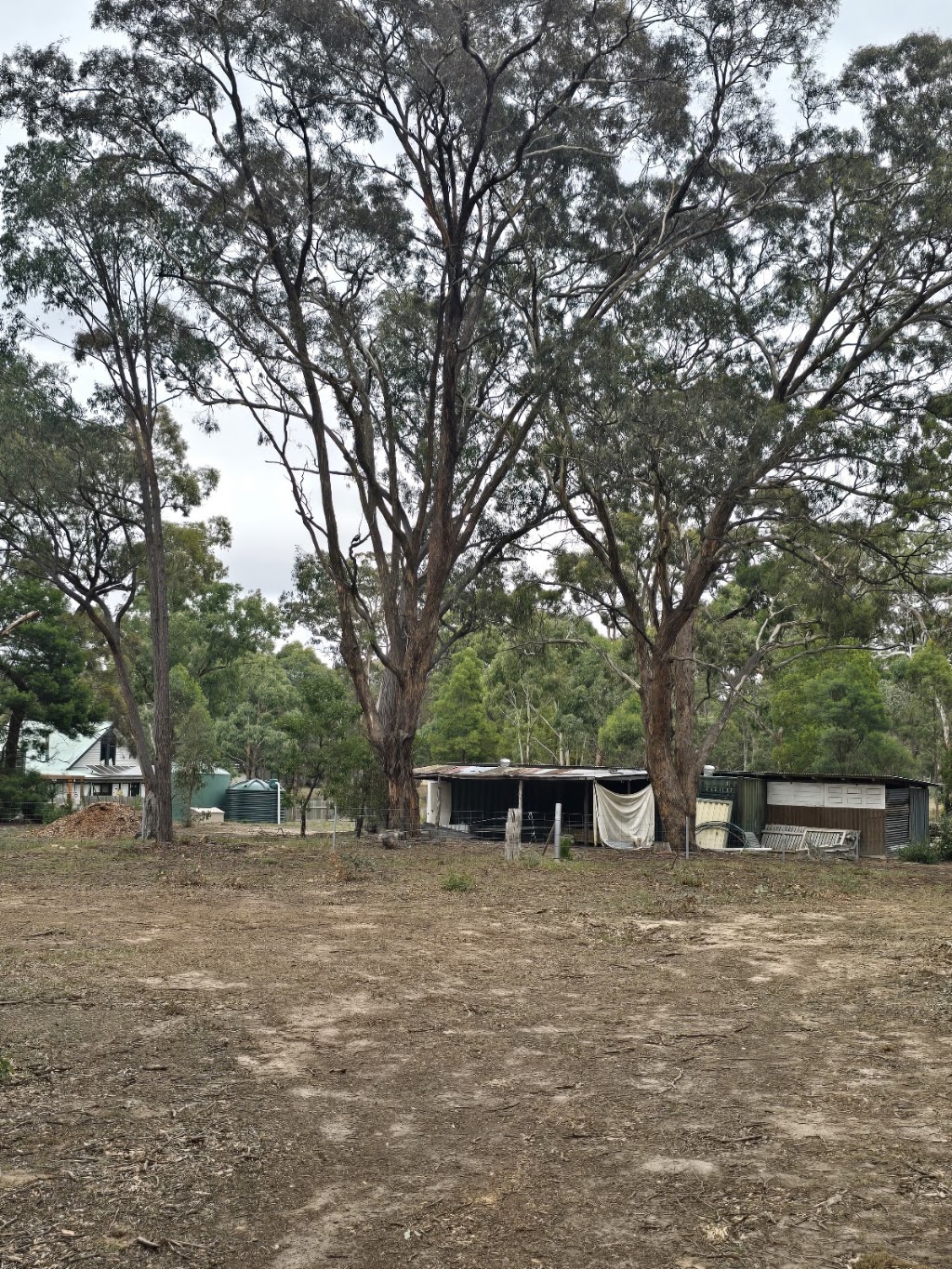 Australian Buddhist Youth Network | 175/221 Marias Ln, Beaufort VIC 3373, Australia | Phone: 0404 661 947