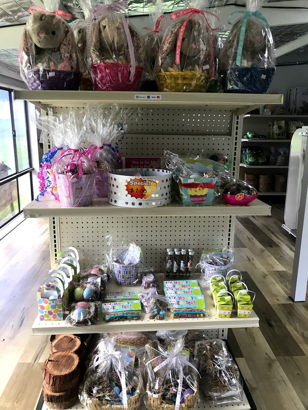Mares Mini Lop Bunnies & Accessories | 592 Londonderry Rd, Londonderry NSW 2753, Australia | Phone: 0422 355 852