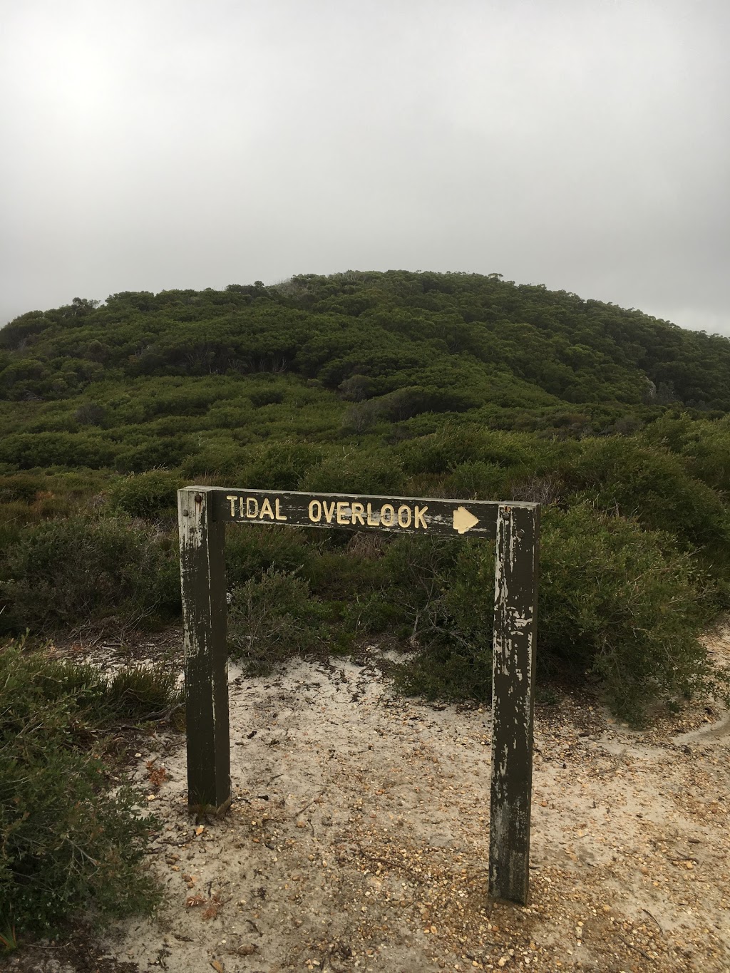 Tidal Overlook viewpoint 2 | museum | Tidal Overlook Circuit, Wilsons Promontory VIC 3960, Australia