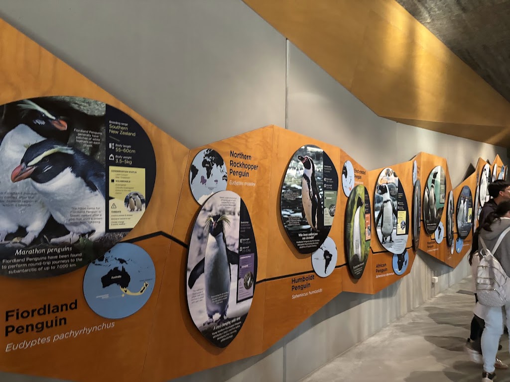 Penguin Parade Visitor Centre | 1019 Ventnor Rd, Summerlands VIC 3922, Australia | Phone: (03) 5951 2830