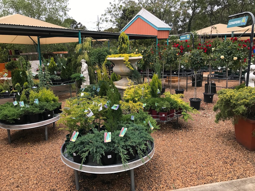 The Springs Garden World | store | 333 Spring St, Kearneys Spring QLD 4350, Australia | 0746368484 OR +61 7 4636 8484