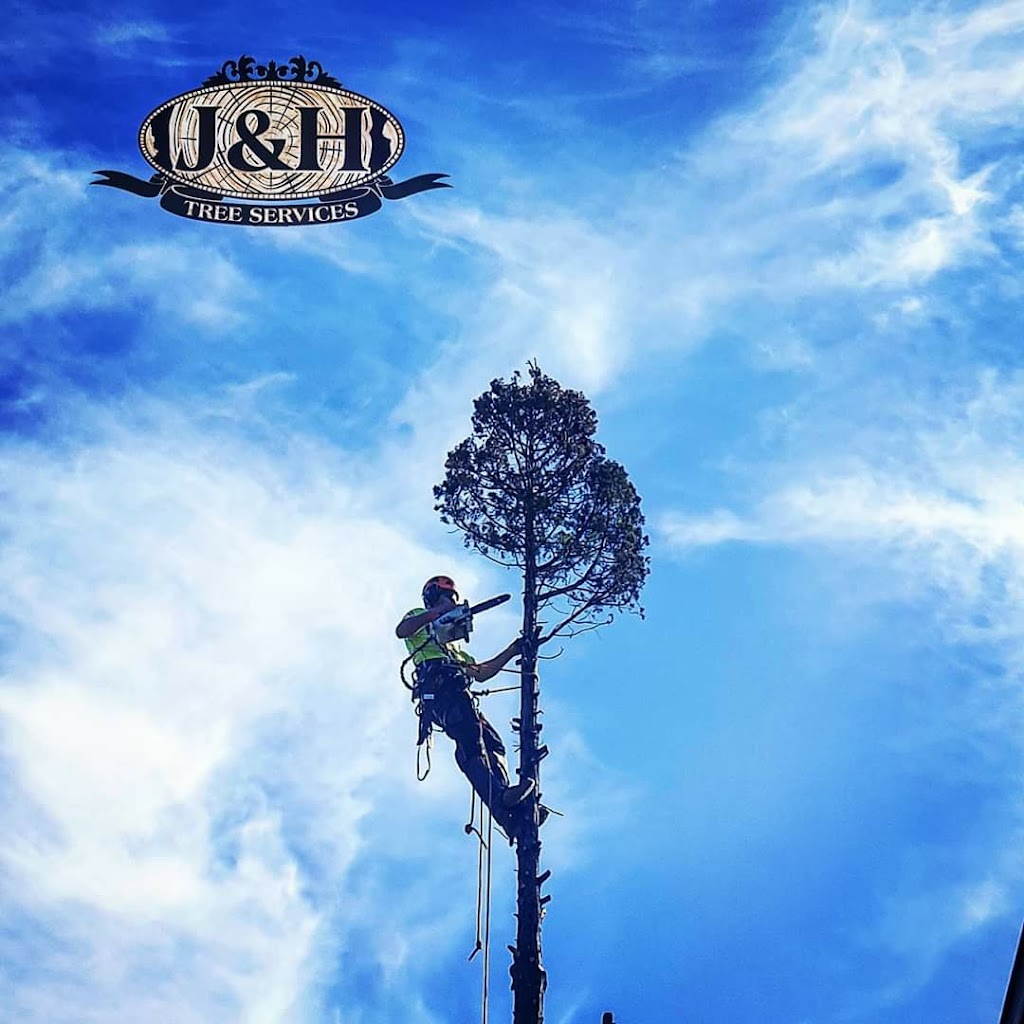 J & H Tree Services | 44 Oriole St, Glenmore Park NSW 2745, Australia | Phone: 0415 720 028