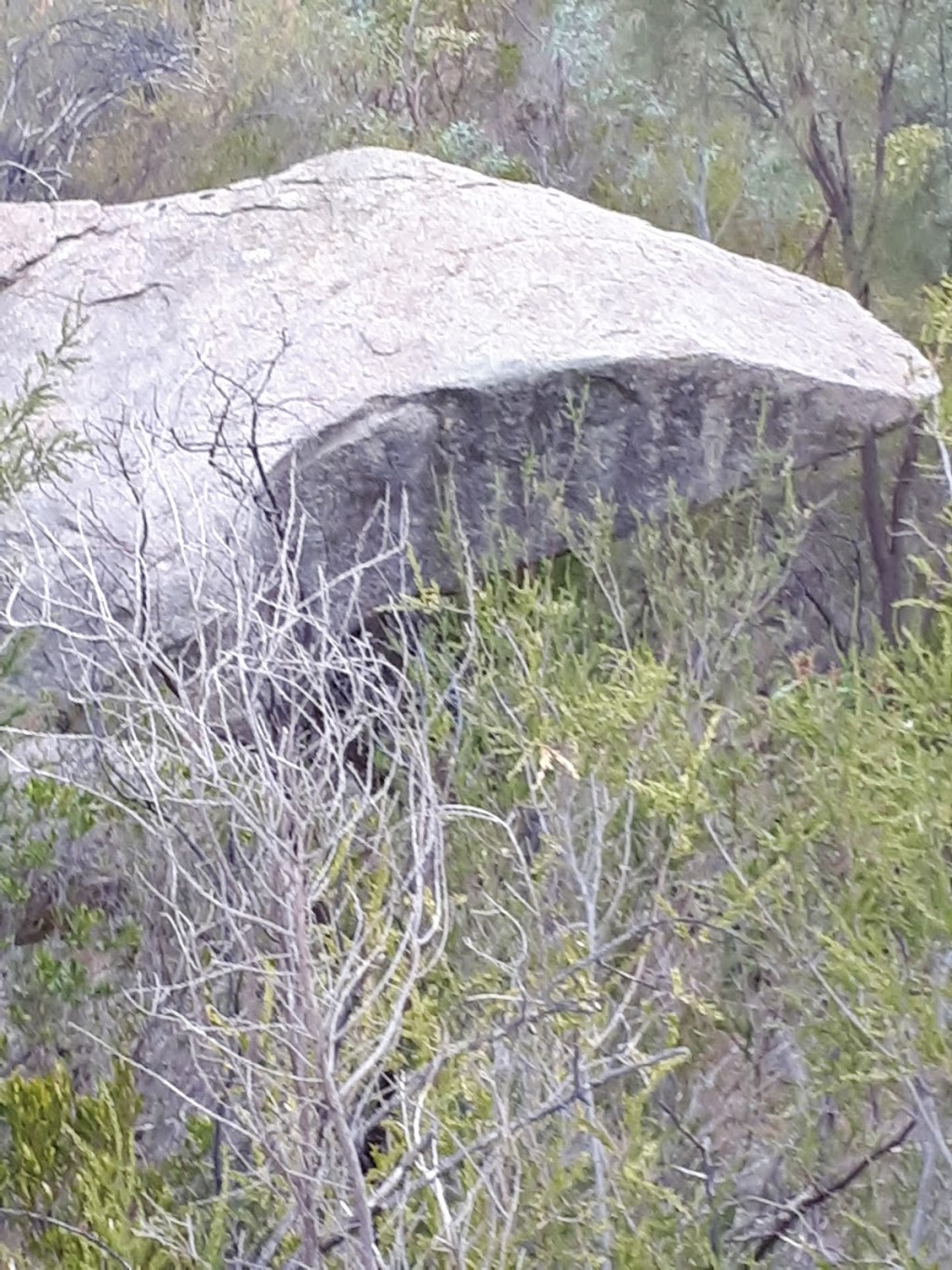 Lizard Rock | park | Yattalunga SA 5114, Australia