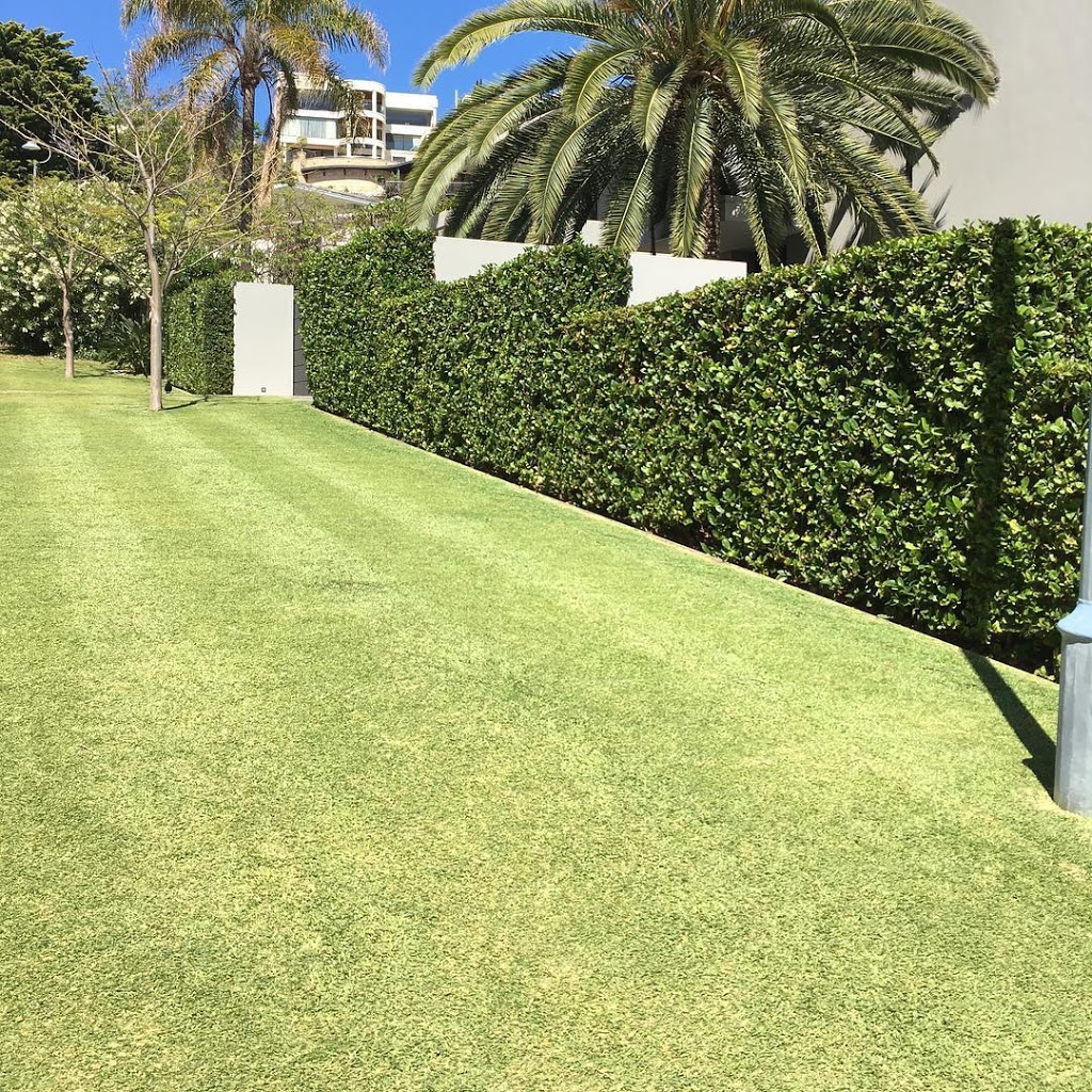 Superior Lawns Australia | 775 Gnangara Rd, Lexia WA 6079, Australia | Phone: (08) 9303 2627