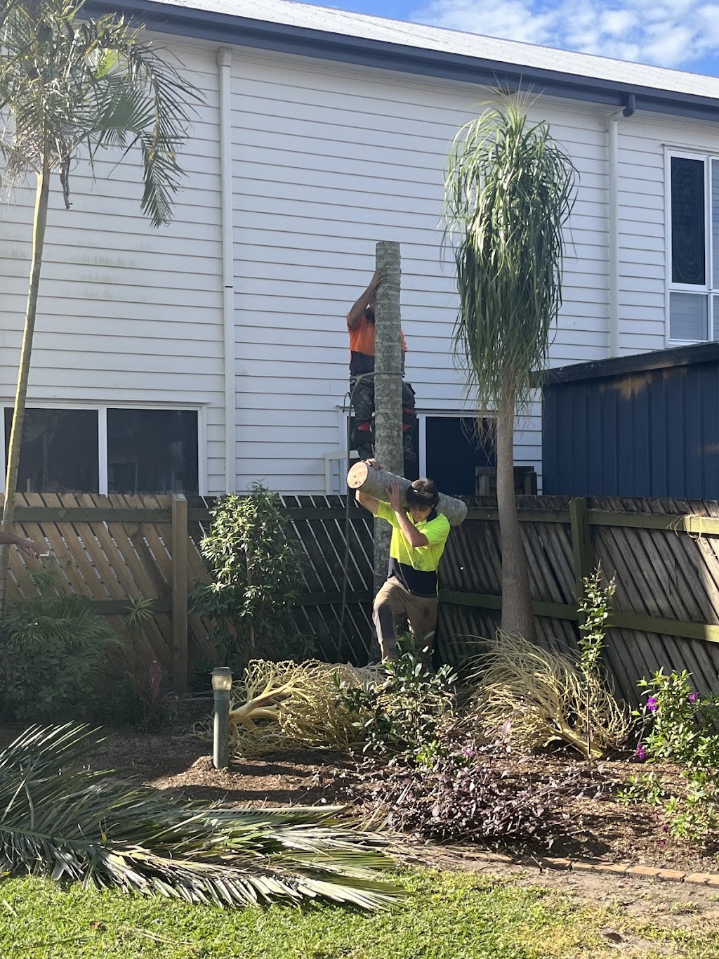 COLOURFUL TREE LOPPING STUMP GRINDING | 44A Oyster Point Esplanade, Scarborough QLD 4020, Australia | Phone: 0438 988 985