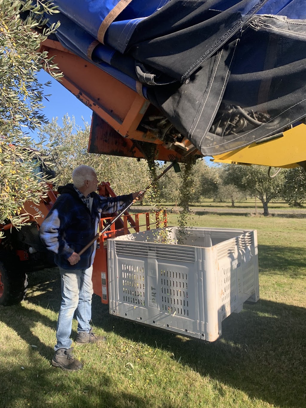 Quartz Hill Olive Oil | 197 Portwines Rd, Lauriston VIC 3444, Australia | Phone: 0412 126 650