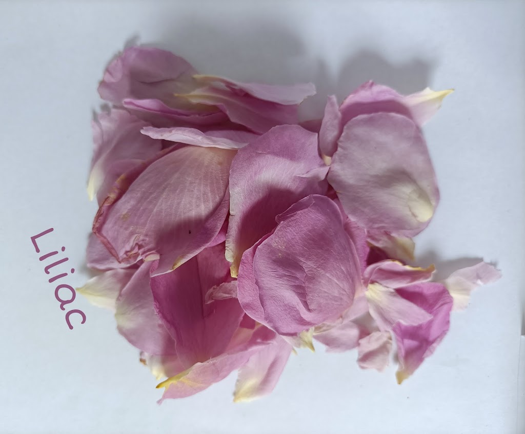 Flora Confetti |  | Maddever Rd, Booral QLD 4655, Australia | 0487756329 OR +61 487 756 329