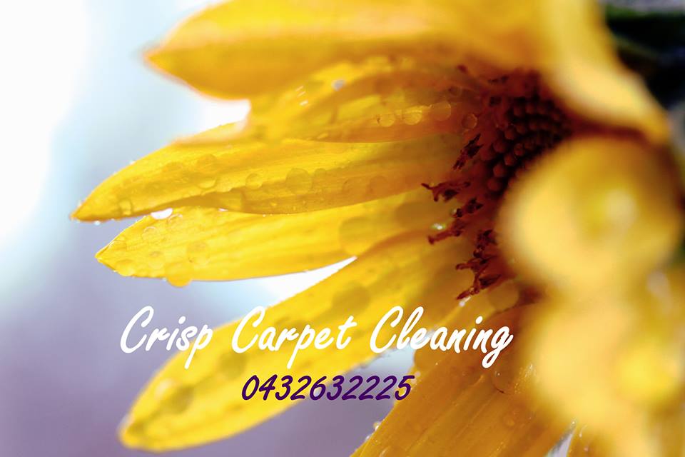 Crisp Carpet Cleaning - Carpet Cleaning | laundry | 21 Scott St, Nanango QLD 4615, Australia | 0432632225 OR +61 432 632 225