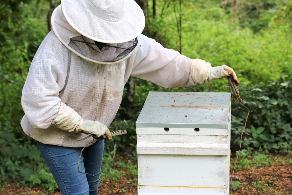 Harvest Honey Sunshine Coast |  | 188-206 Flaxton Dr, Flaxton QLD 4560, Australia | 0424537461 OR +61 424 537 461