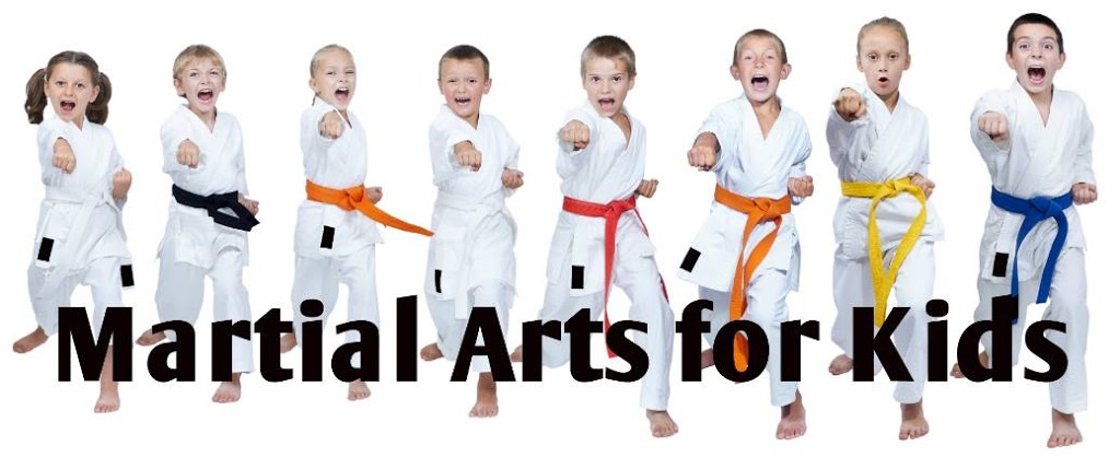 Team Martial Arts Australia | health | 72 Central Ave, Oran Park NSW 2570, Australia | 0413146301 OR +61 413 146 301