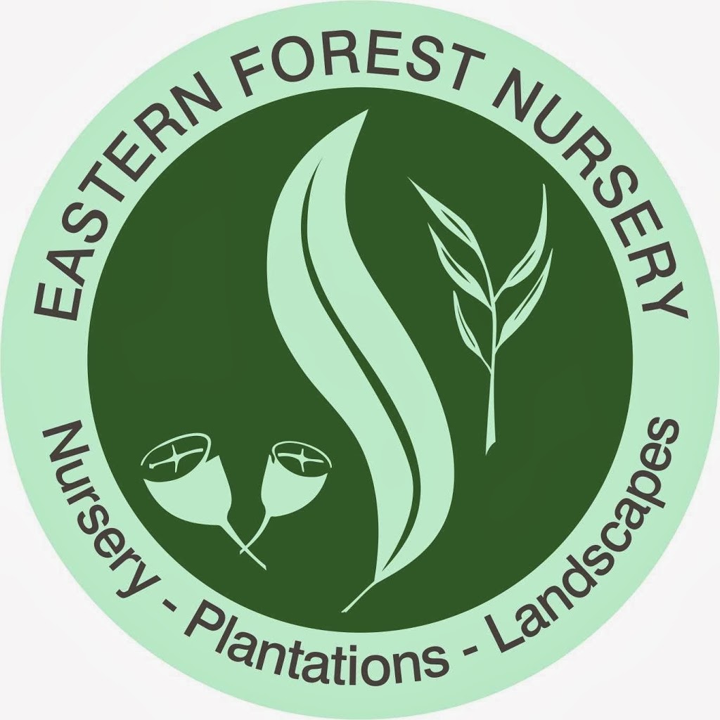 Eastern Forest Nursery | store | 848 Bruxner Hwy, South Gundurimba NSW 2480, Australia | 0266290353 OR +61 2 6629 0353