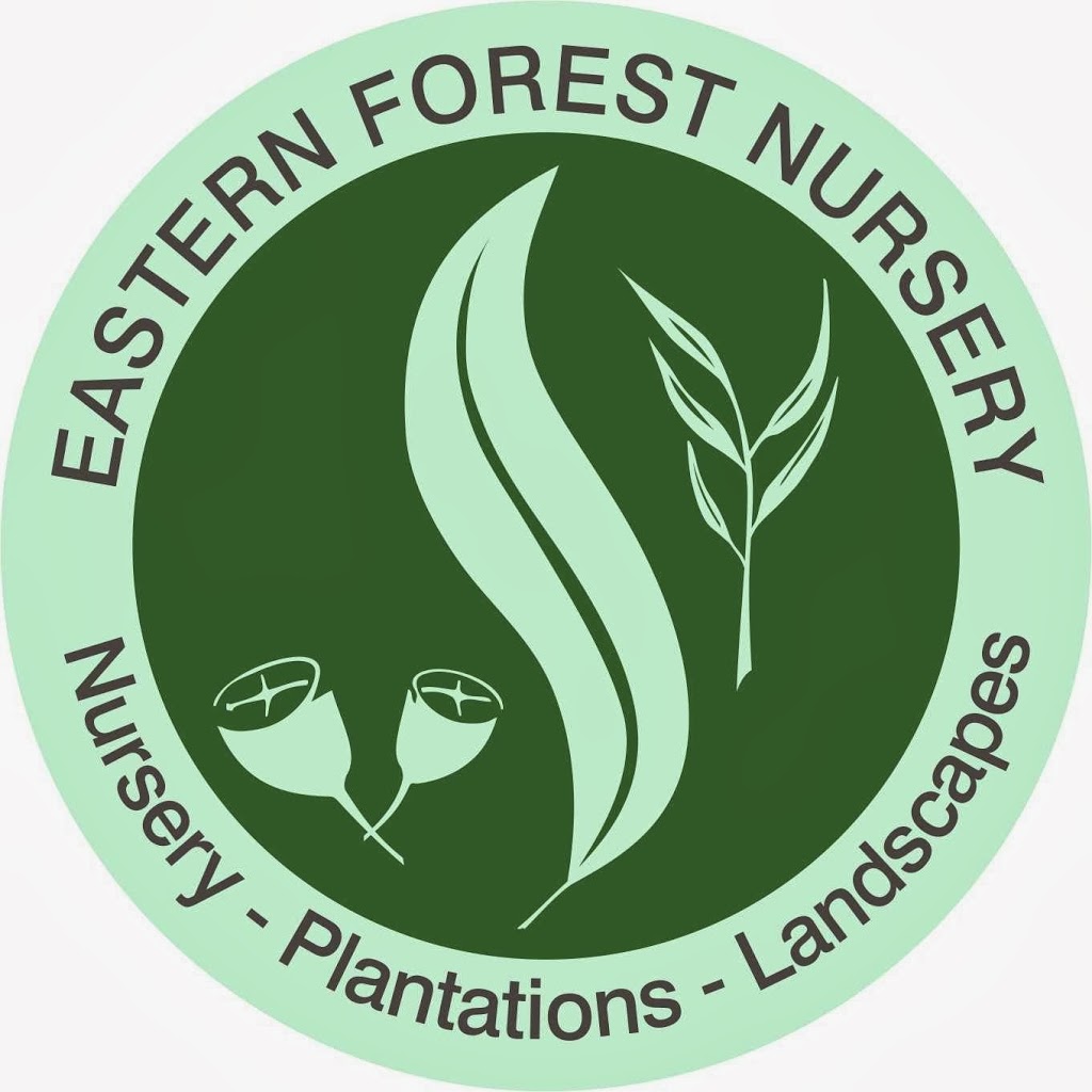 Eastern Forest Nursery | 848 Bruxner Hwy, South Gundurimba NSW 2480, Australia | Phone: (02) 6629 0353