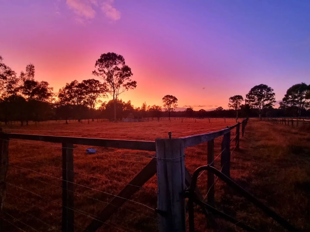Teembin Pines | 180 Beachmere Rd, Caboolture QLD 4510, Australia | Phone: 0420 822 945