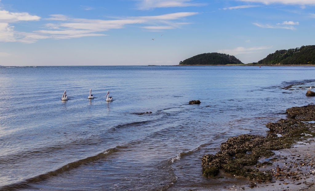 Marine Rescue Shoalhaven | Pilot House Prince Edward Ave, Culburra Beach NSW 2540, Australia | Phone: (02) 4447 4466