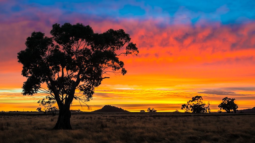 Journey By Light Photography | 45 Clowes St, Malmsbury VIC 3446, Australia | Phone: 0401 673 119